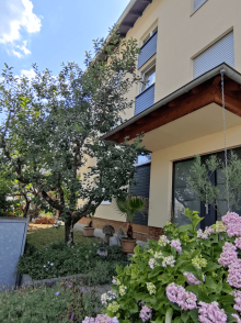 Profil REHAU Synego AD Classic